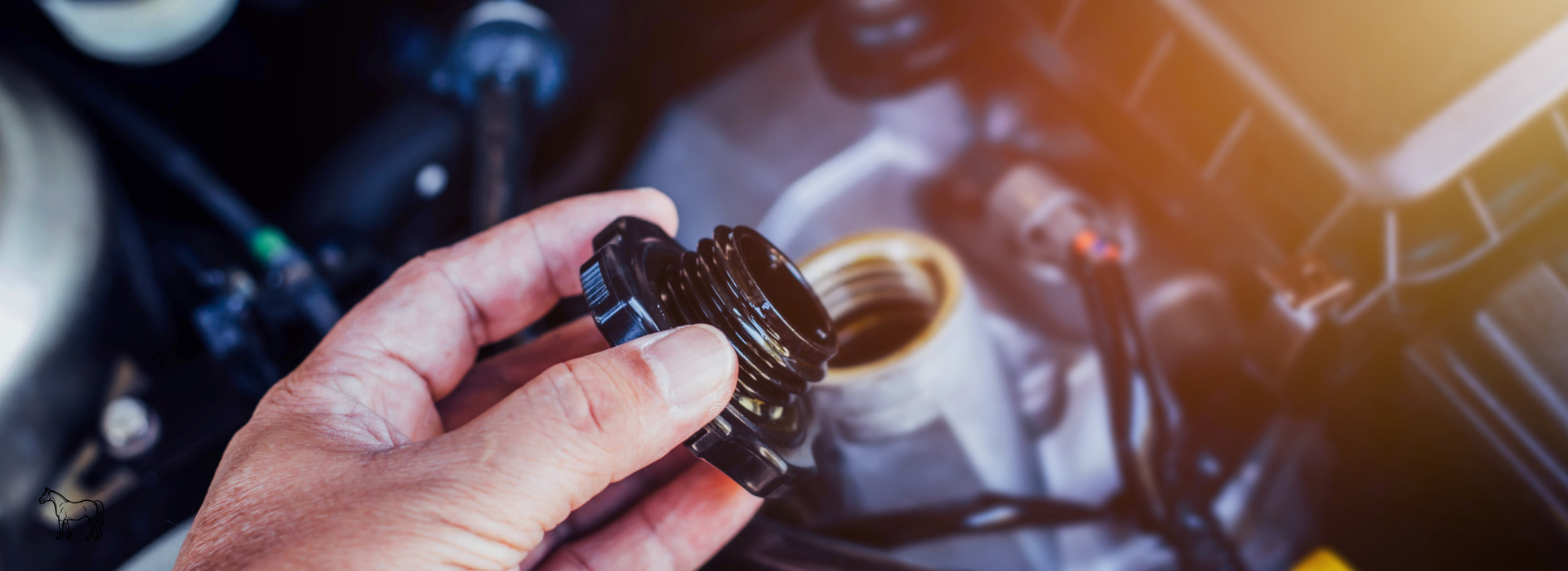 The Unsung Heroes - All About Brake and Clutch Fluid (Part 3)