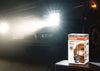 24V Truck Bulbs
