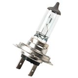 H7 499 12V 55W Halogen Headlight Bulb