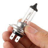 H7 499 12V 55W Halogen Headlight Bulb