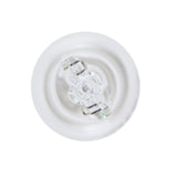 Bosch 955 W16W 12V 16W Pure Light Tail Light Bulbs (Twin Pack)
