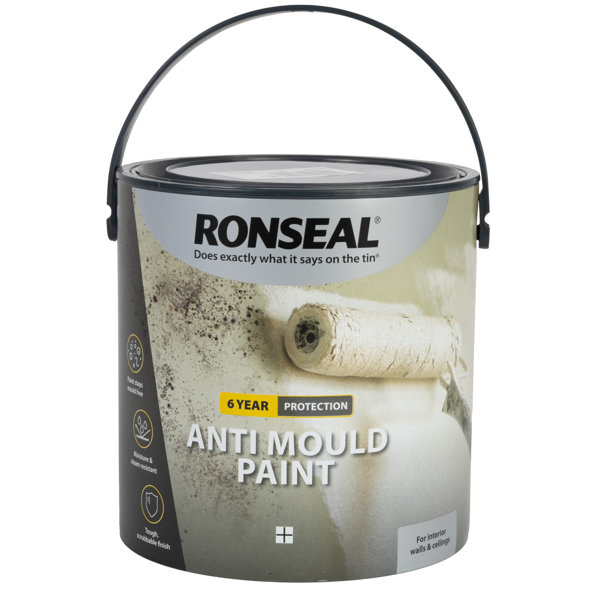 RONSEAL 6 Year Anti Mould Paint White Matt 2.5 Litre