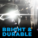 239 12V 5W Number Plate & Interior Festoon Bulbs (Pack Of 10)