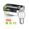 SIMPLY 290 P21W 24V 21W Truck Brake & Tail Light Bulb BA15s (Pack of 10)