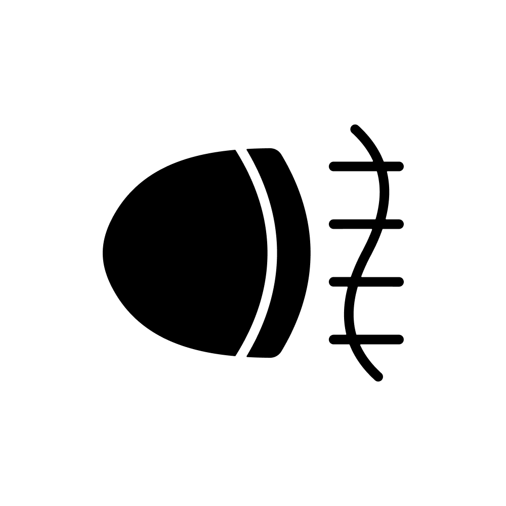 Front Foglight Bulbs icon