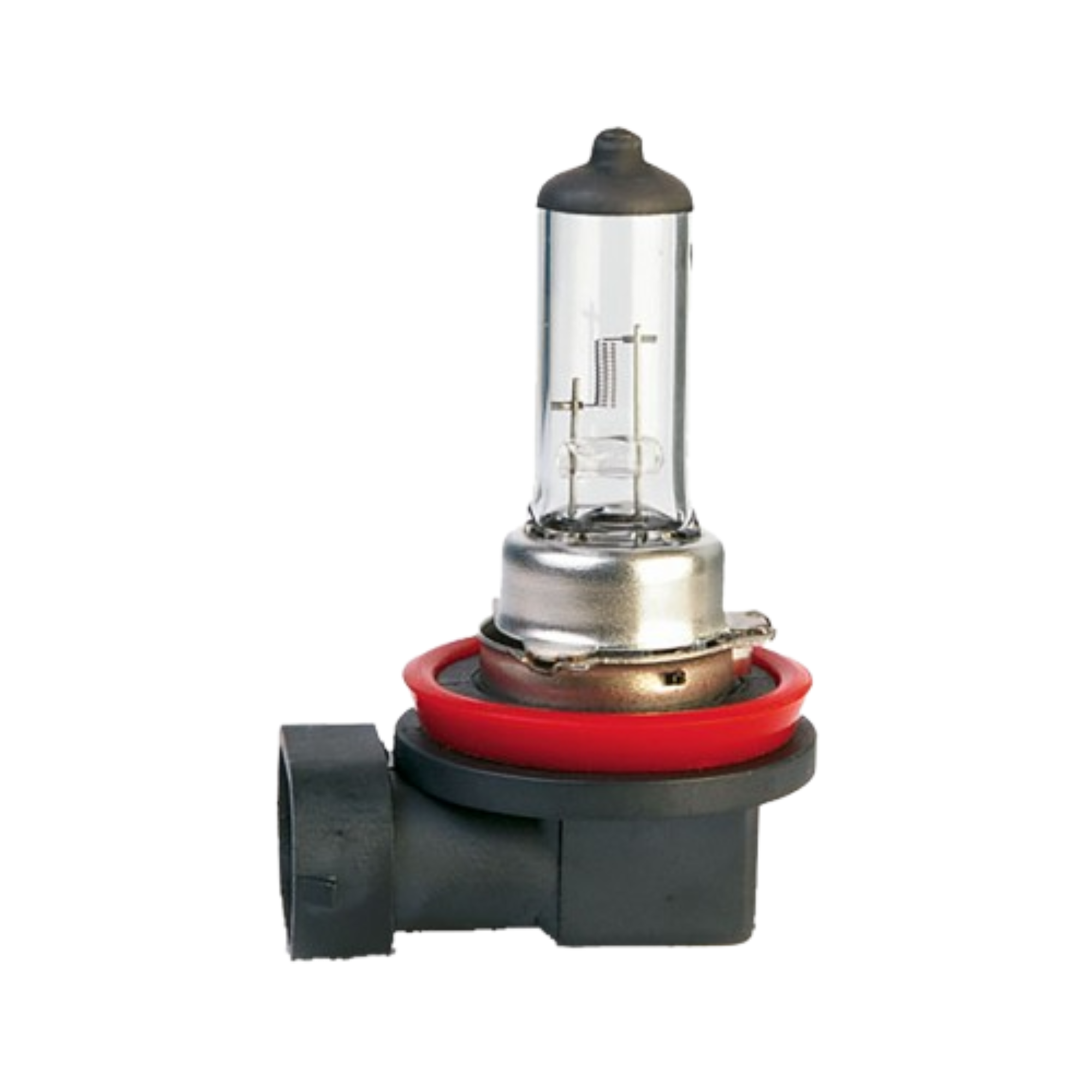 H11 12V 55W Halogen Headlight Bulb