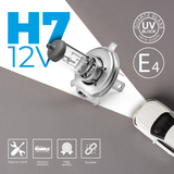 H7 499 12V 55W Halogen Headlight Bulb