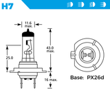 H7 499 12V 55W Halogen Headlight Bulb