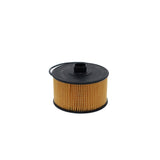 Bosch Oil Filter F026407231 - P7231