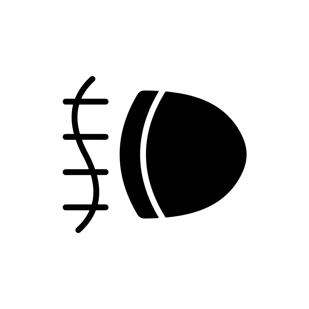 Rear Foglight Bulbs icon