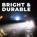 SIMPLY 239 C5W 12V 5W Car Festoon Number Plate Bulbs (Twin Pack)