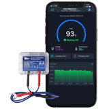 Streetwize Bluetooth Battery Monitoring System