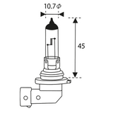 HB4 9006 12V 51W Halogen Headlight Bulb; standard automotive replacement bulb for low and high beams