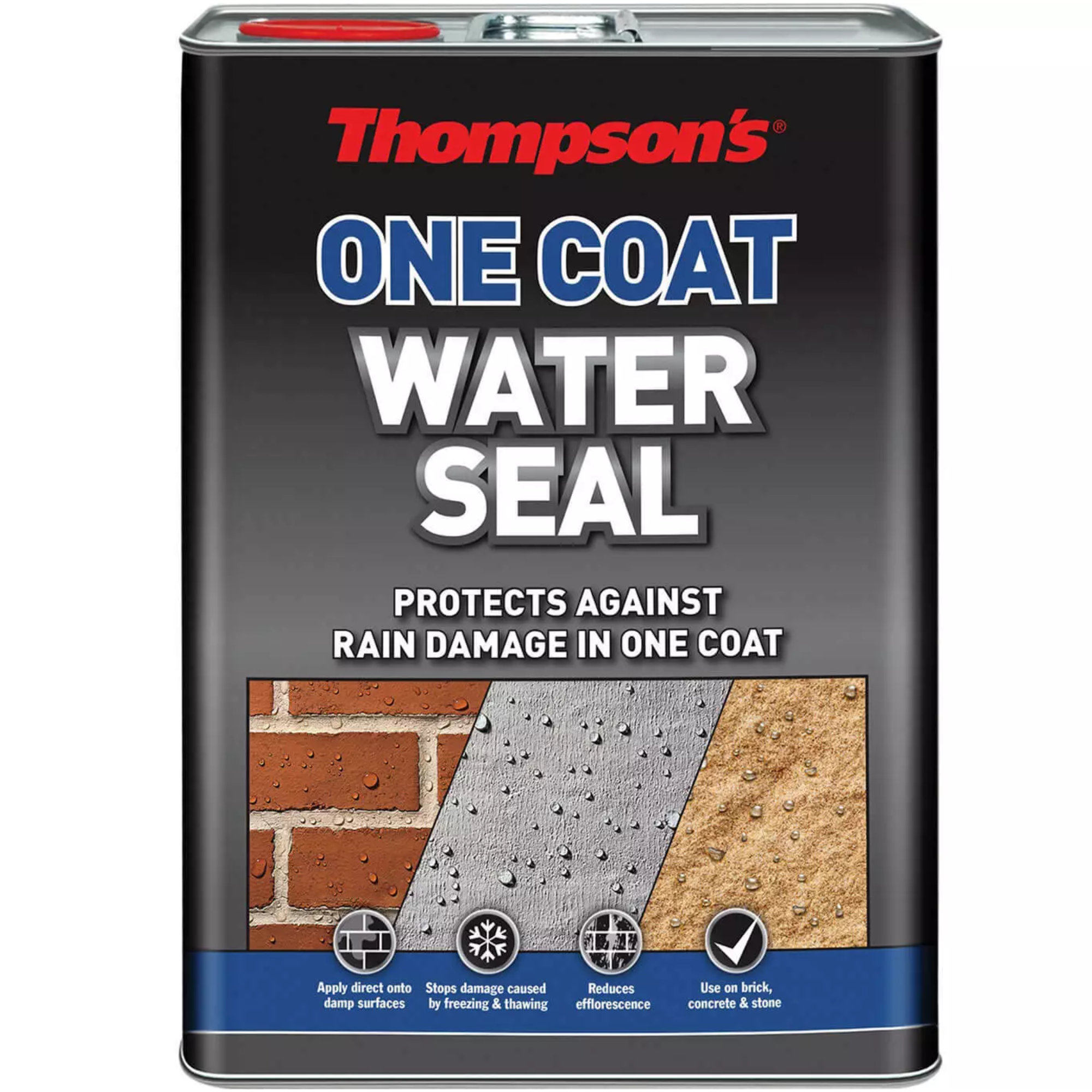 Thompson's One Coat Water Seal 5 Litre