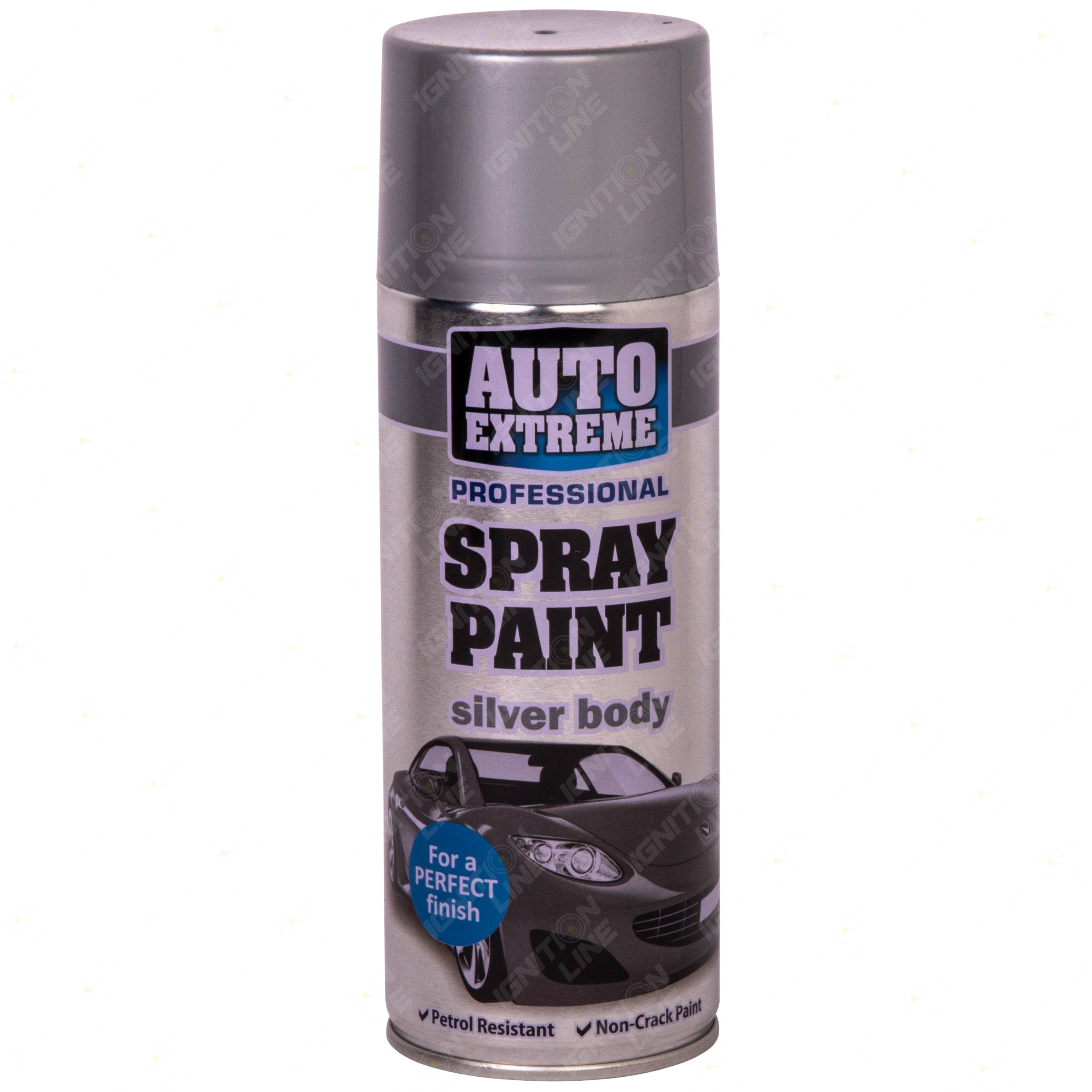 Rapide Auto Extreme Silver Spray Paint 400ml