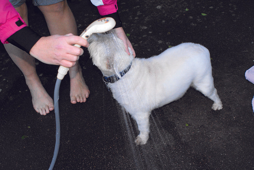 Leisurewize 12V Porta Shower