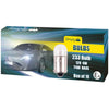 233 Replacement 12V 4W Side & Tail Bayonet Bulb (Pack Of 10)